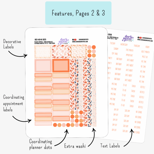 Infographic of features for Pages 2-3 of the hobonichi cousin monthly planner sticker kit, with washi, appointment labels, planner dots