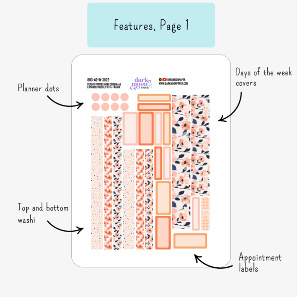 infographic showing features for page 1 of hobonichi cousin weekly sticker kits including washi, dots, labels, day of the week covers
